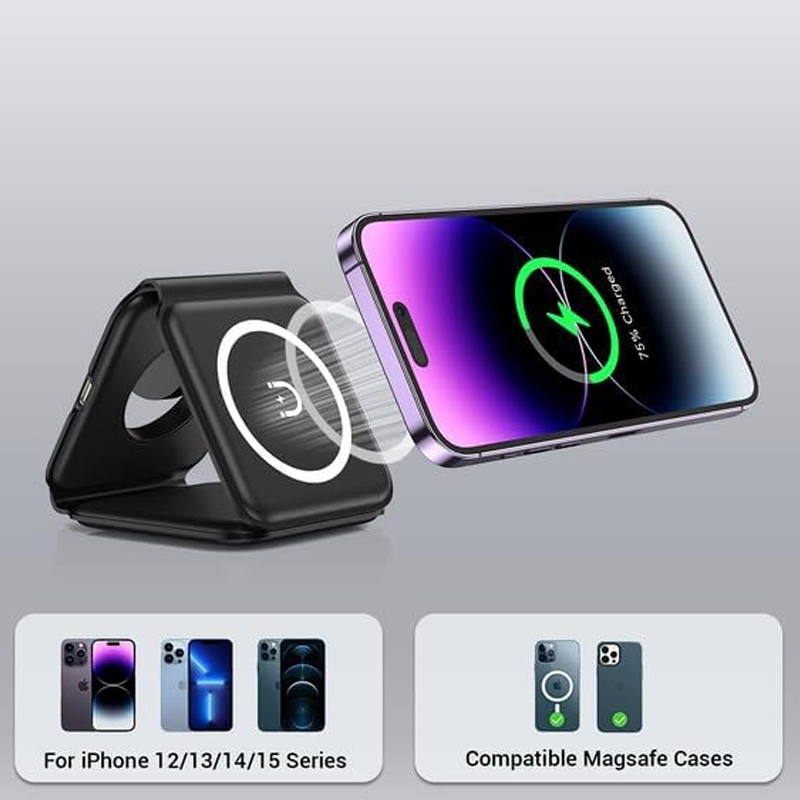 3-1 Mag-Safe Charger